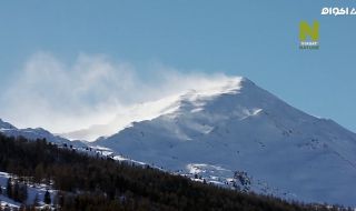 2 : الشتاء في جبال الألب السويسرية