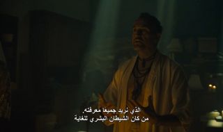 1 : 1