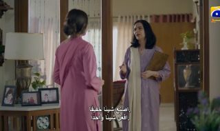 22 : 22