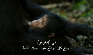 1 : الحلقة الاولى