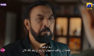 16 : 16
