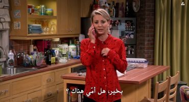 The Big Bang Theory الموسم التاسع The Bachelor Party Corrosion 3