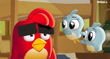 Angry Birds: Summer Madness الموسم الاول الحلقة الثانية عشر 12