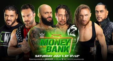 Money in the Bank ladder - mens