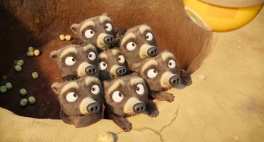 7 Bears 6 6