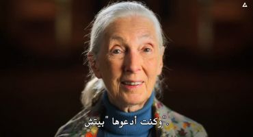Dear الموسم الاول Jane Goodall 7