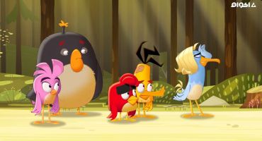 Angry Birds: Summer Madness الموسم الاول الحلقة الاولي 1