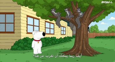 Family Guy الموسم الثامن عشر الحلقة العاشرة 10