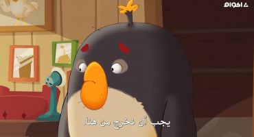 Angry Birds: Summer Madness الموسم الاول الحلقة الثالثة 3