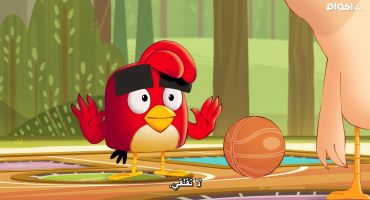 Angry Birds Summer Madness الموسم الثالث الحلقة الاولى 1