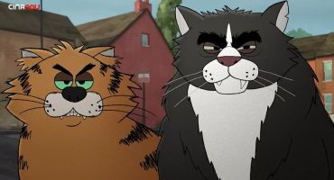 Alley Cats Havoc 2
