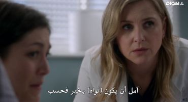 Grey's Anatomy الموسم الرابع عشر Caught Somewhere in Time 16
