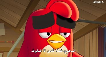Angry Birds Summer Madness الموسم الثاني الحلقة الثالثة عشر 13