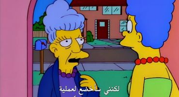 The Simpsons الموسم التاسع الحلقة التاسعة 9