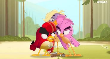 Angry Birds: Summer Madness الموسم الاول الحلقة الثالثة عشر 13