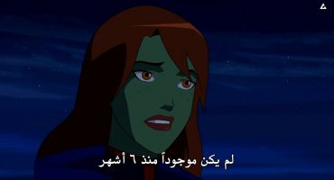 Young Justice الموسم الاول Bereft 9