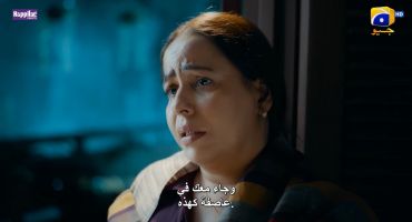 Shaidai 1 1