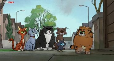 Alley Cats Home 6