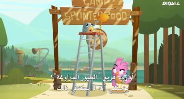 Angry Birds: Summer Madness الموسم الاول الحلقة الرابعة 4