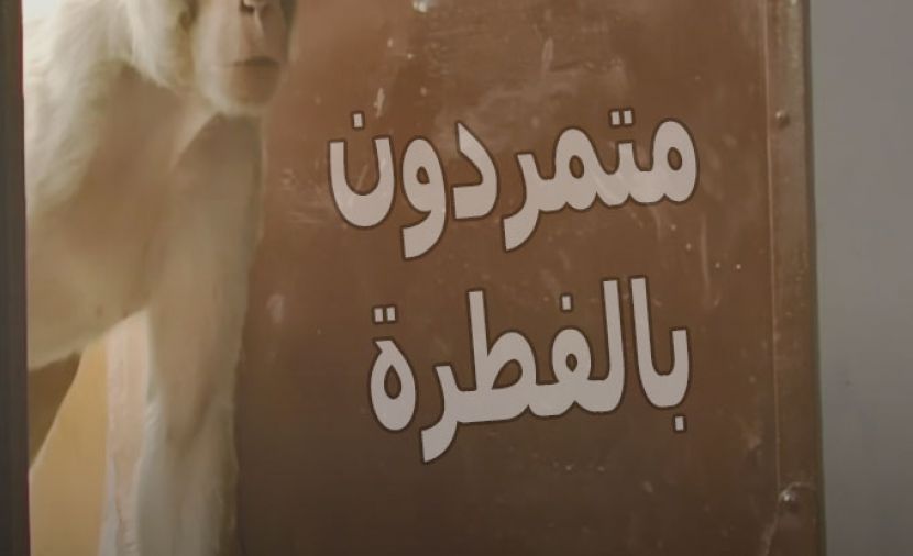 متمردون بالفطرة - 2
