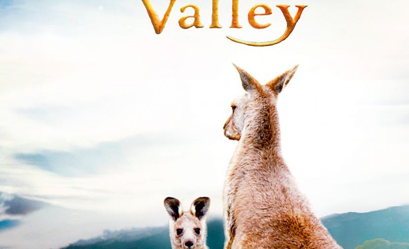 Kangaroo Valley - 1