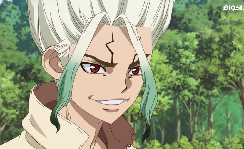 Dr. Stone