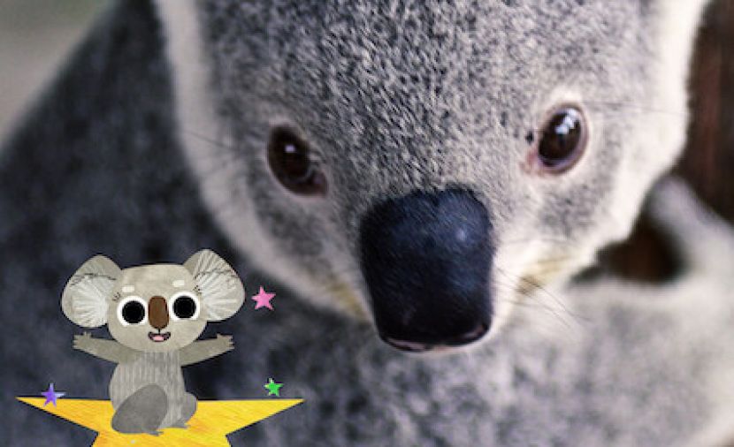 Izzys Koala World الموسم الثاني - 8 الحلقة الثامنة