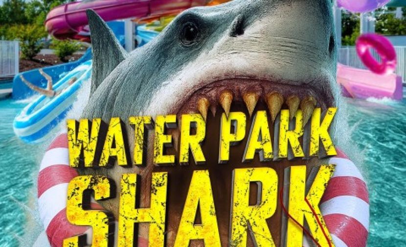 ⁣Water Park Shark