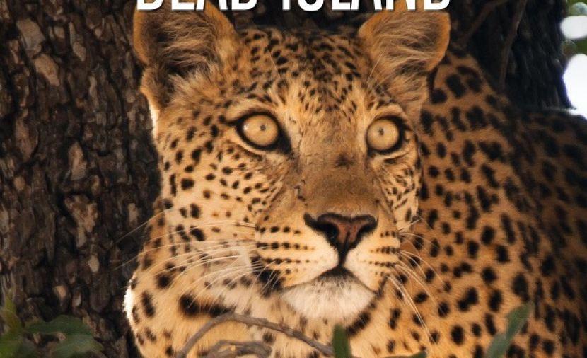 Leopards of Dead Tree Island - 1
