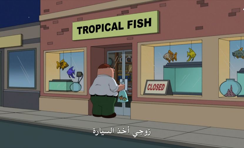 Family Guy الموسم التاسع - الحلقة 15 الحلقة الخامسة عشر