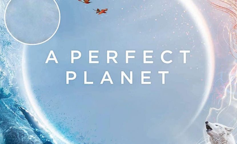 A Perfect Planet - 1