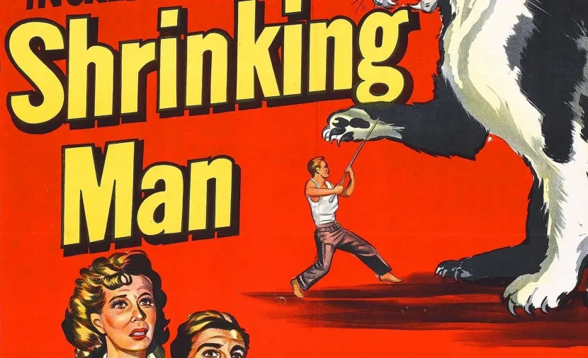 ⁣The Incredible Shrinking Man