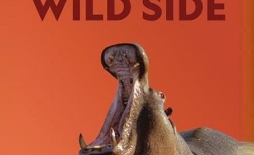 Africa's Wild Side - 2 ولد من أجل البقاء