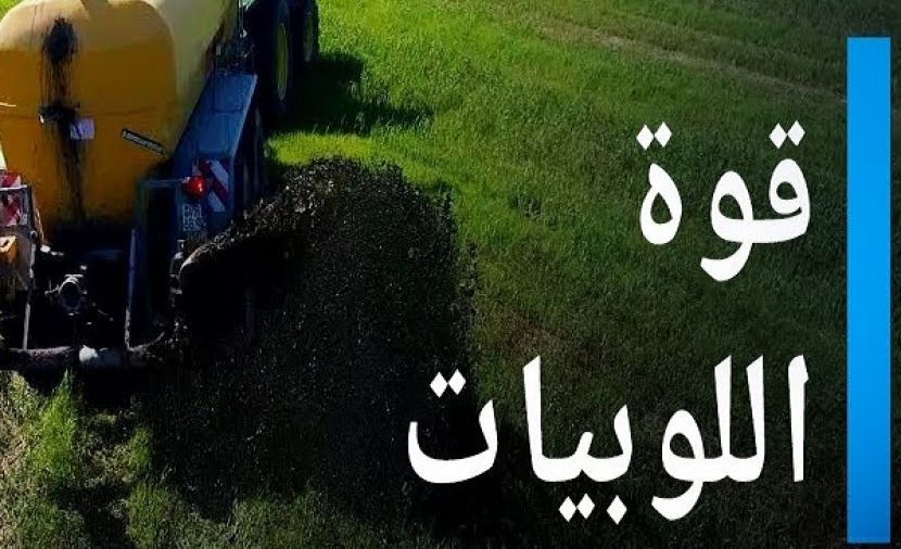اللوبي الزراعي - 1