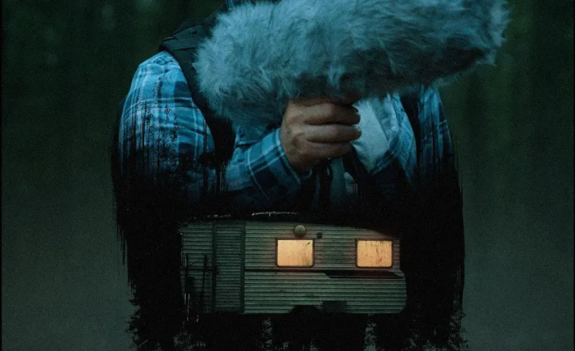 Within the Pines