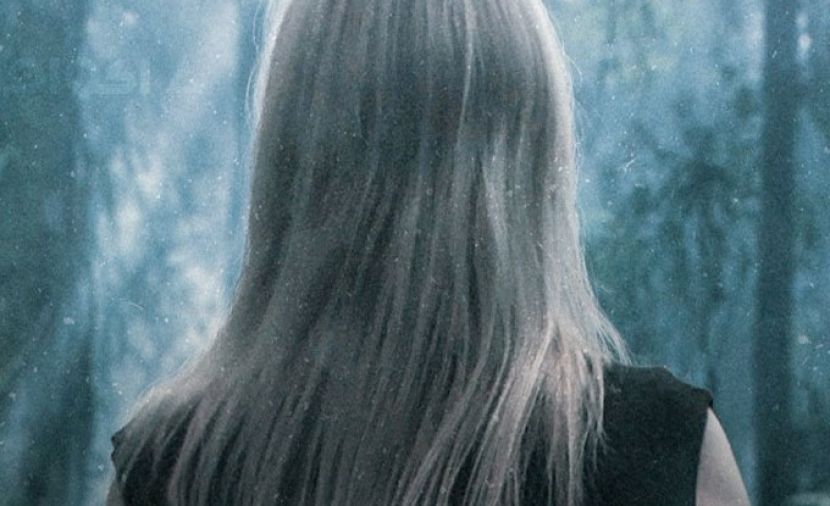 Elize Matsunaga: Era Uma Vez Um Crime - 1 الحالة الاجتماعية: أرملة
