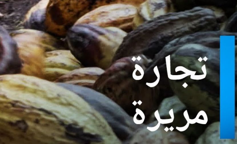 الشوكولاتة تجارة مريرة - 1