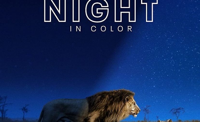 Earth at Night in Color - 1