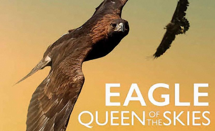 Eagle - Queen of The Skies - 1