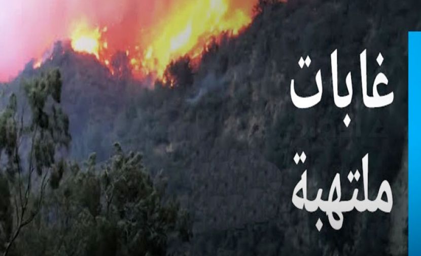 غابات ملتهبة - 1 الجزء الاول