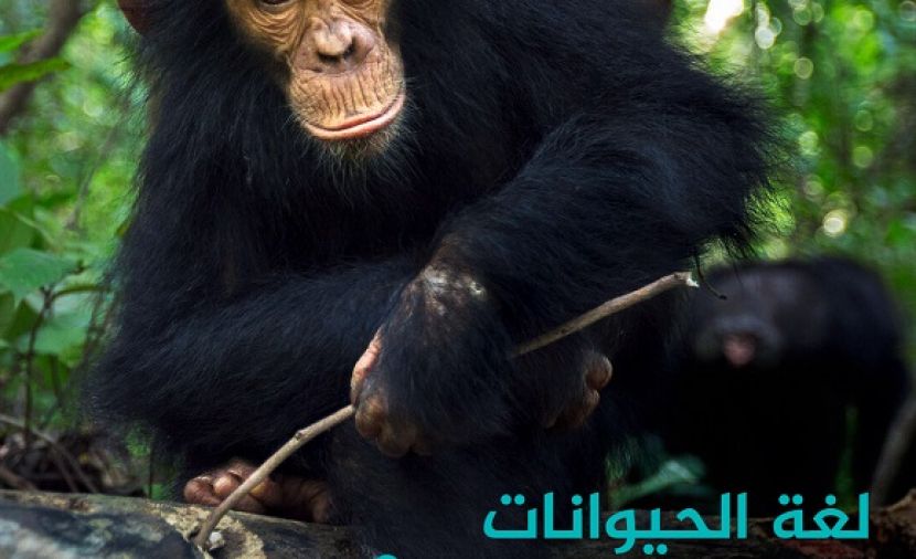 لغة الحيوانات - 1