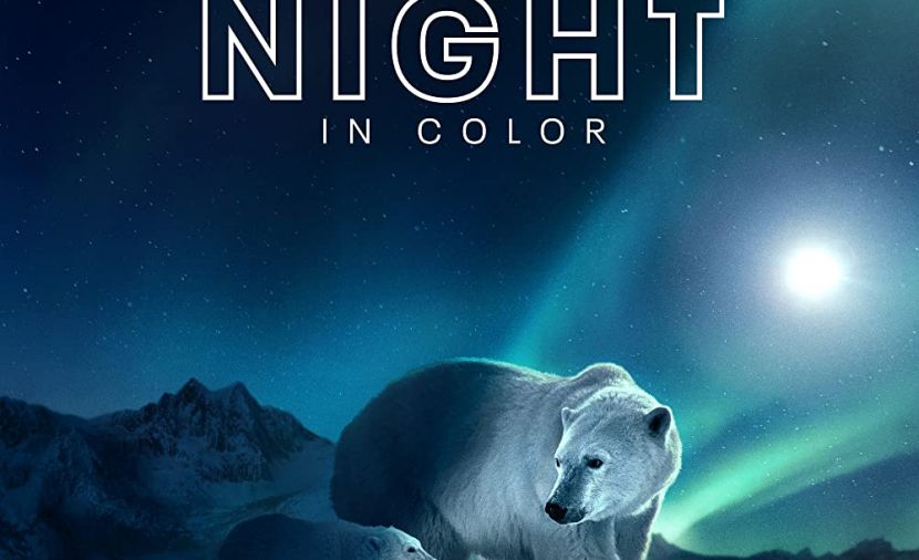 Earth at Night in Color