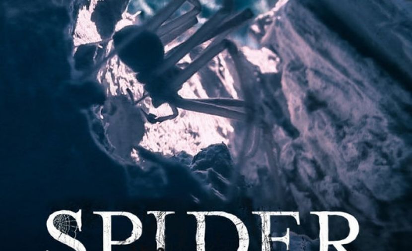 Spider House - 1