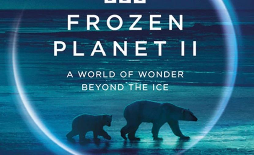 Frozen Planet II - 1