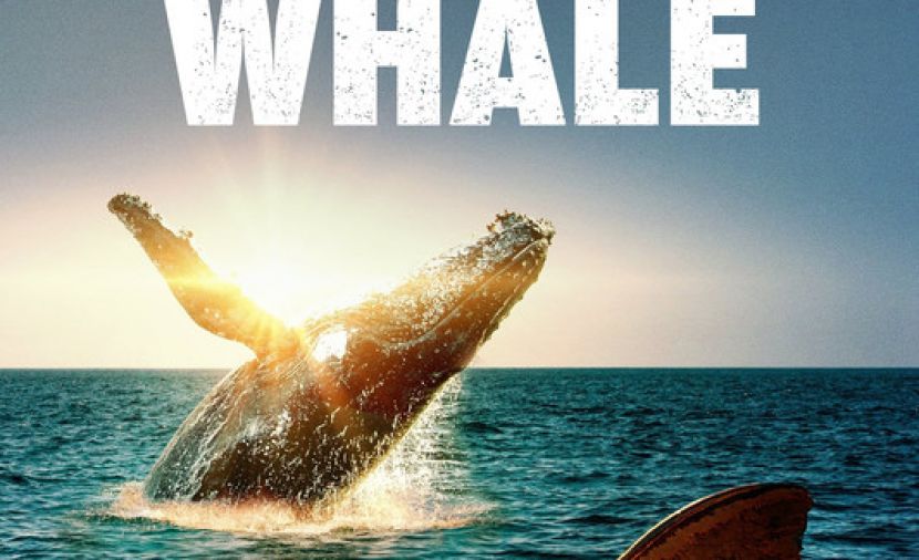 Shark vs. Whale - 1