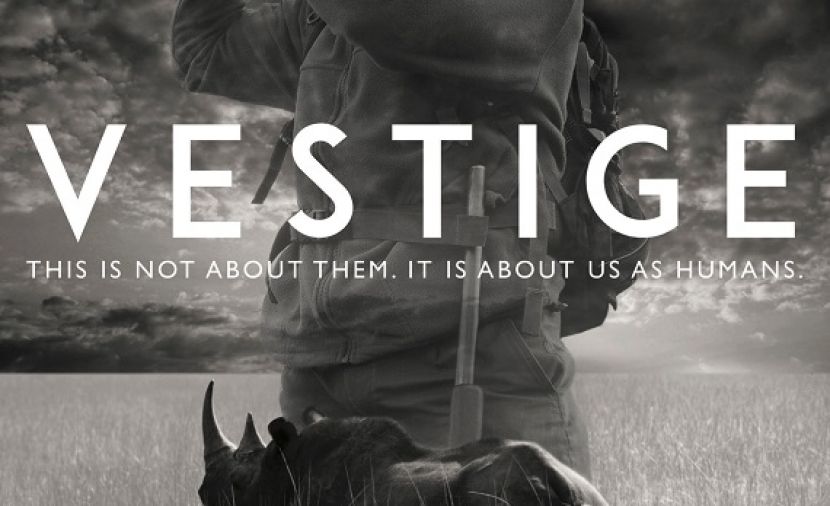 Vestige - 1