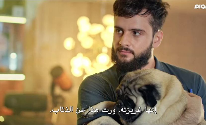 Mystery Lab الموسم الاول - الحلقة 4 From Wolf to Dog