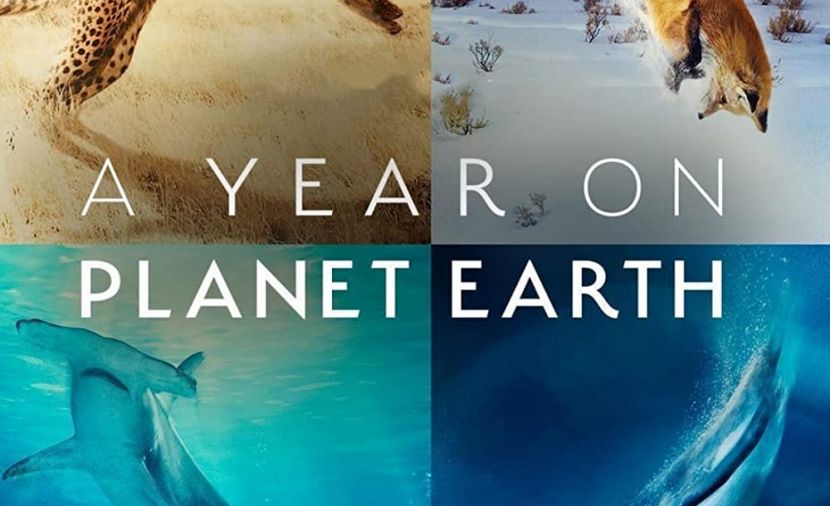 A Year on Planet Earth