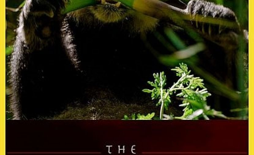 The Hidden Kingdoms of China - 2