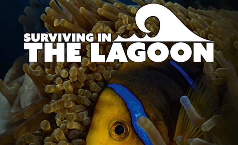 Surviving in the Lagoon - 1